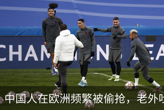 中国人在欧洲频繁被偷抢，老外吐槽：中国人是没见过天敌的渡渡鸟