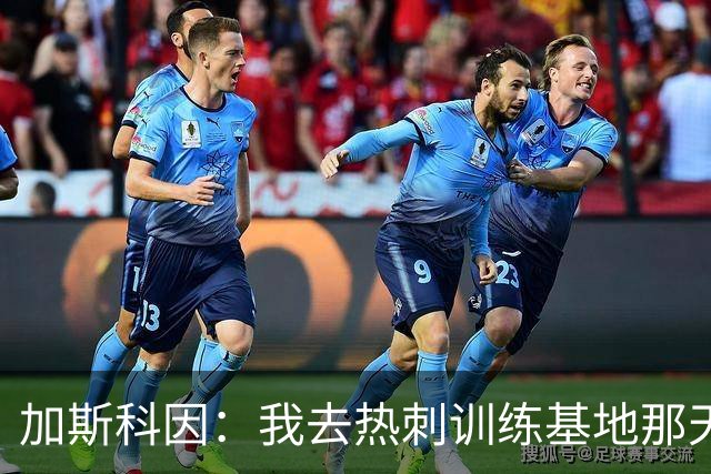 加斯科因：我去热刺训练基地那天，就知道这赛季要出事