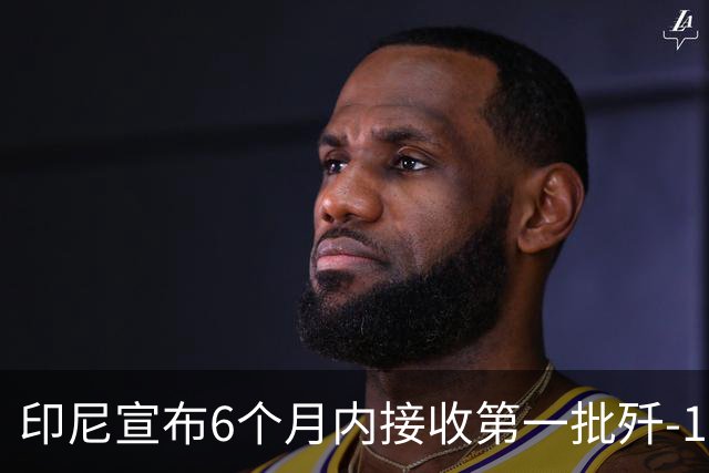 印尼宣布6个月内接收第一批歼-10CE，多少钱一架呢？