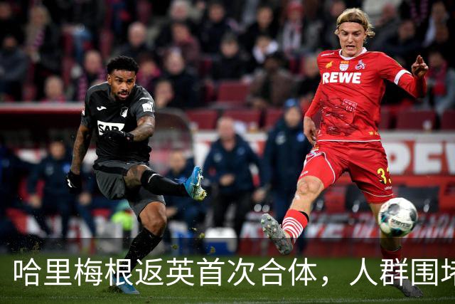哈里梅根返英首次合体，人群围堵座驾警方被迫出手