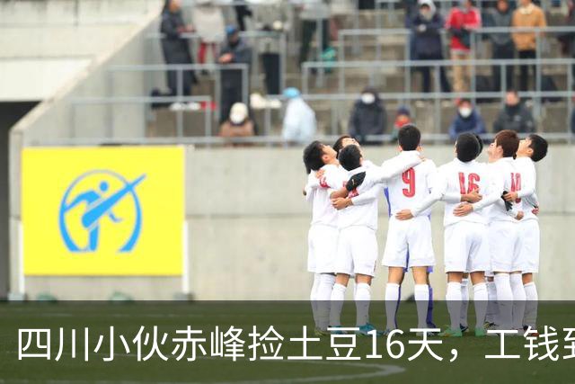 四川小伙赤峰捡土豆16天，工钱到手那一刻他红了眼眶
