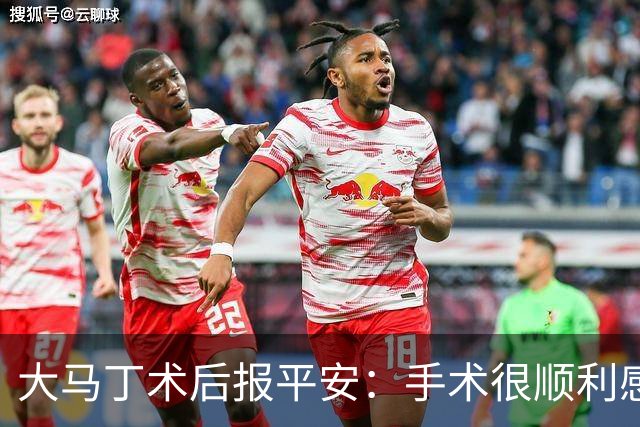 大马丁术后报平安：手术很顺利感谢大家，几周后我就会回来