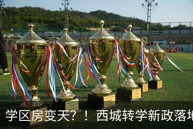 学区房变天？！西城转学新政落地！有房≠有学位