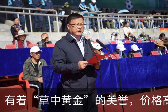 有着“草中黄金”的美誉，价格高达上千元，曾经却被当做野草