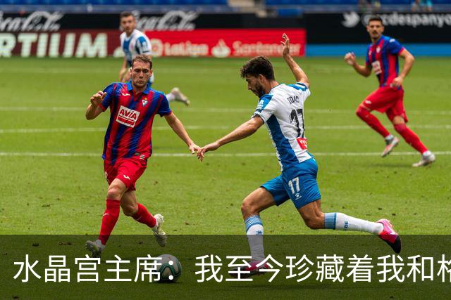 水晶宫主席：我至今珍藏着我和格拉斯纳共同举起欧协联奖杯的照片