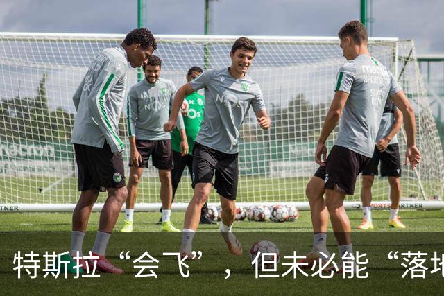 特斯拉“会飞”，但未必能“落地” | 新京报快评