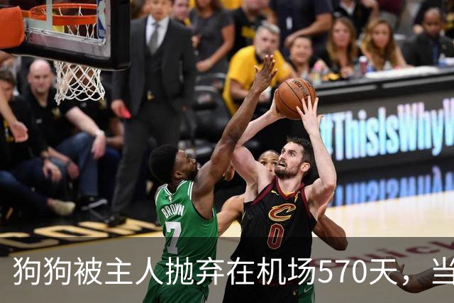 狗狗被主人抛弃在机场570天，当主人回来接它时，看哭了所有人