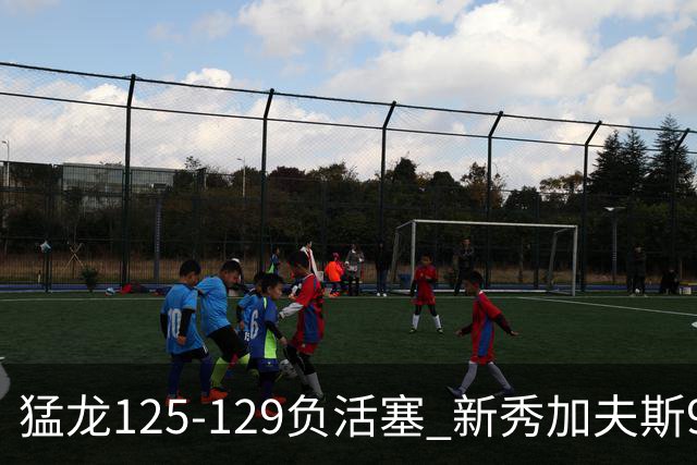 猛龙125-129负活塞 新秀加夫斯9分8板