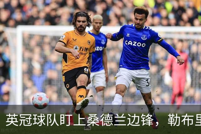 英冠球队盯上桑德兰边锋，勒布里斯该不该放人？