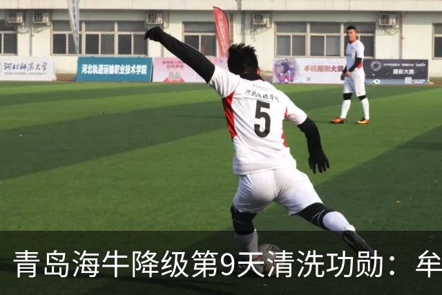 青岛海牛降级第9天清洗功勋：牟鹏飞与刘军帅遭年龄清洗